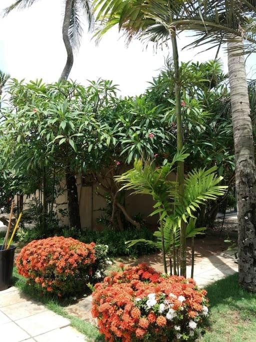 Eco Paradise Cumbuco 131 Exterior photo